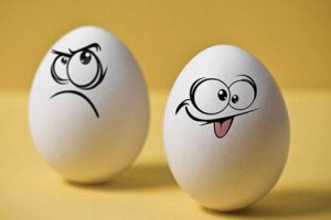 طنز/ یه پروژه ناب در داریون با ۱۰ میلیارد تومن!