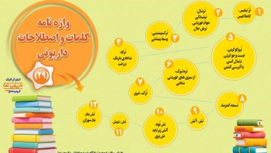 اینفوگرافیک/واژه نامه کلمات و اصطلاحات داریونی(29)