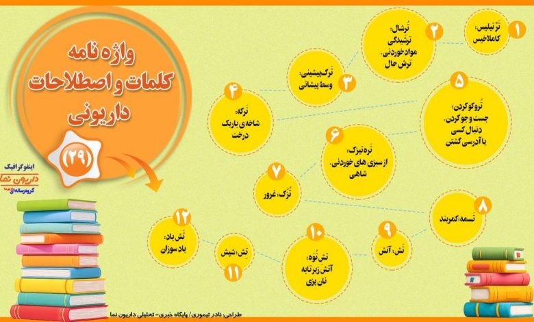 اینفوگرافیک/واژه نامه کلمات و اصطلاحات داریونی(29)