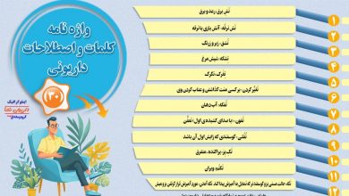 اینفوگرافیک/واژه نامه کلمات و اصطلاحات داریونی(30)