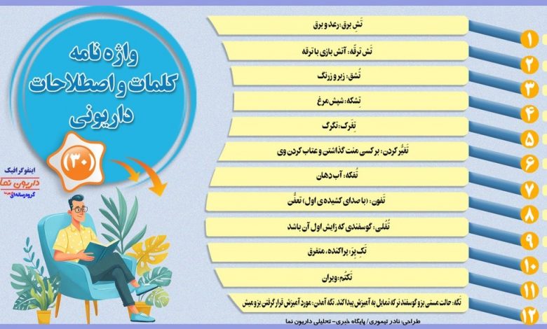 اینفوگرافیک/واژه نامه کلمات و اصطلاحات داریونی(30)
