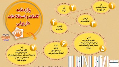 اینفوگرافیک/واژه نامه کلمات و اصطلاحات داریونی(31)