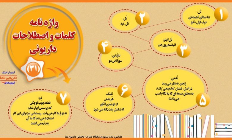 اینفوگرافیک/واژه نامه کلمات و اصطلاحات داریونی(31)