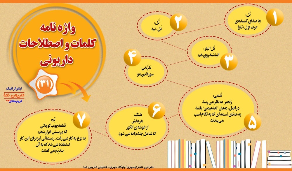 اینفوگرافیک/واژه نامه کلمات و اصطلاحات داریونی(31)