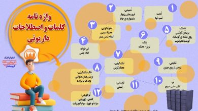 اینفوگرافیک/واژه نامه کلمات و اصطلاحات داریونی(32)