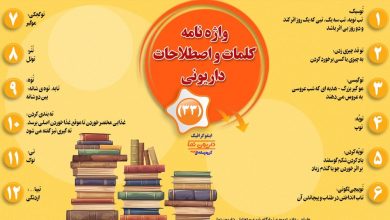 اینفوگرافیک/واژه نامه کلمات و اصطلاحات داریونی(33)