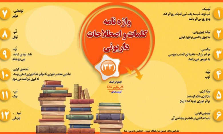 اینفوگرافیک/واژه نامه کلمات و اصطلاحات داریونی(33)