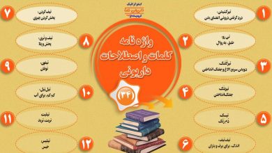 اینفوگرافیک/واژه نامه کلمات و اصطلاحات داریونی(34)