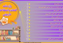 اینفوگرافیک/واژه نامه کلمات و اصطلاحات داریونی(35)