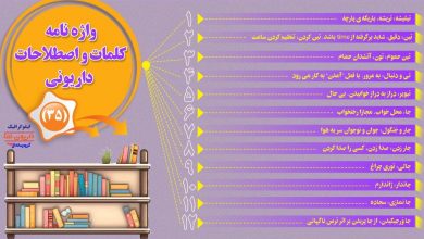 اینفوگرافیک/واژه نامه کلمات و اصطلاحات داریونی(35)