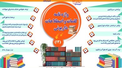 اینفوگرافیک/واژه نامه کلمات و اصطلاحات داریونی(12)