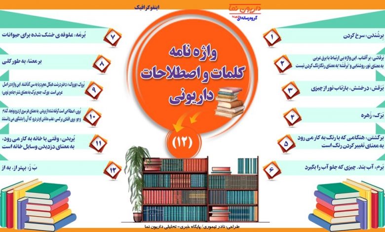 اینفوگرافیک/واژه نامه کلمات و اصطلاحات داریونی(12)