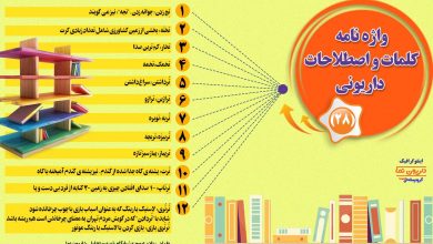 اینفوگرافیک/واژه نامه کلمات و اصطلاحات داریونی(28)