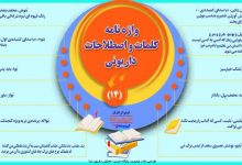 اینفوگرافیک/واژه نامه کلمات و اصطلاحات داریونی(14)