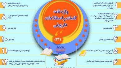 اینفوگرافیک/واژه نامه کلمات و اصطلاحات داریونی(14)