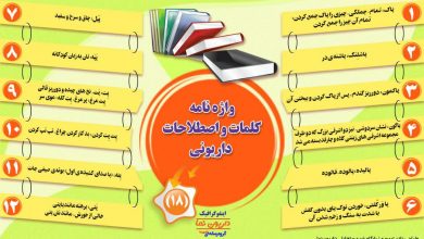 اینفوگرافیک/واژه نامه کلمات و اصطلاحات داریونی(18)