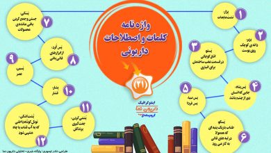 اینفوگرافیک/واژه نامه کلمات و اصطلاحات داریونی(21)