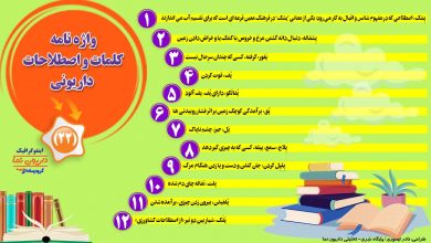 اینفوگرافیک/واژه نامه کلمات و اصطلاحات داریونی(22)