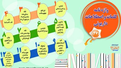 اینفوگرافیک/واژه نامه کلمات و اصطلاحات داریونی(27)