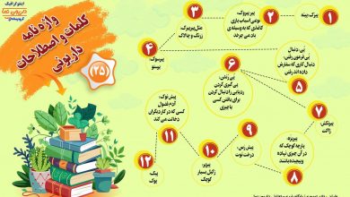 اینفوگرافیک/واژه نامه کلمات و اصطلاحات داریونی(25)