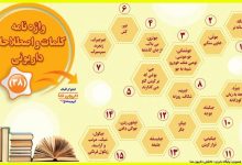اینفوگرافیک/واژه نامه کلمات و اصطلاحات داریونی(38)