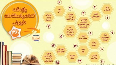 اینفوگرافیک/واژه نامه کلمات و اصطلاحات داریونی(38)