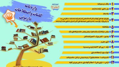 اینفوگرافیک/واژه نامه کلمات و اصطلاحات داریونی(26)