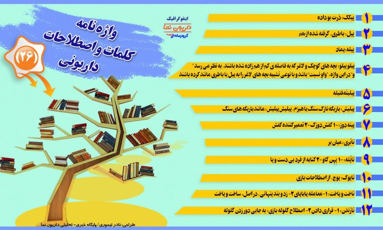 اینفوگرافیک/واژه نامه کلمات و اصطلاحات داریونی(26)