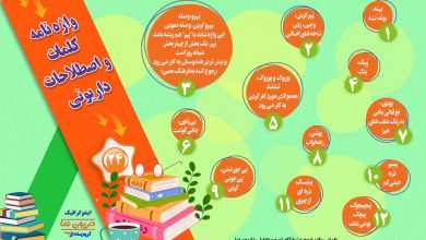 اینفوگرافیک/واژه نامه کلمات و اصطلاحات داریونی(24)