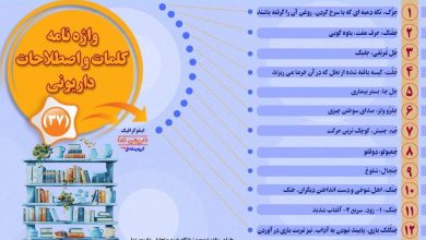 اینفوگرافیک/واژه نامه کلمات و اصطلاحات داریونی(37)