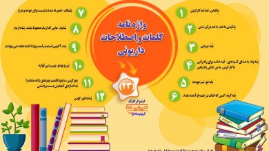 اینفوگرافیک/واژه نامه کلمات و اصطلاحات داریونی(23)