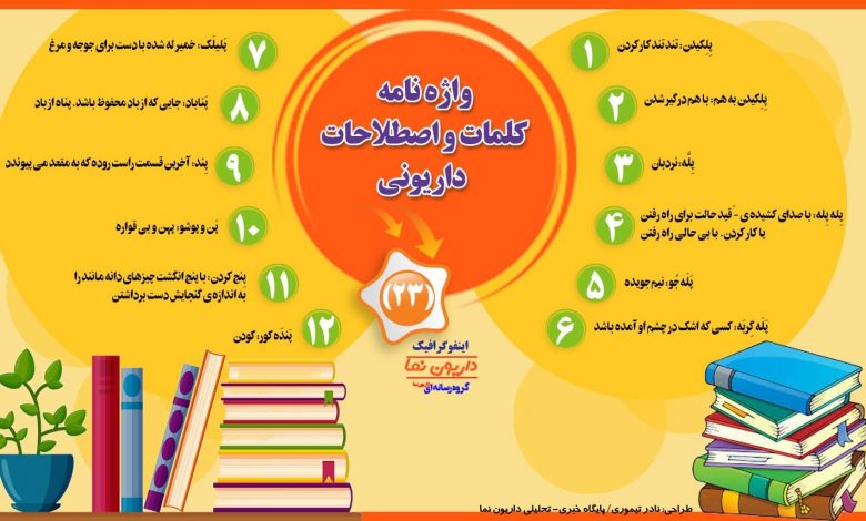 اینفوگرافیک/واژه نامه کلمات و اصطلاحات داریونی(23)