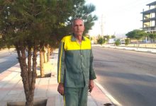 احمدعلی امیدی؛ باغبان عاشق داریون که شهر را سبز می‌کند