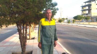 احمدعلی امیدی؛ باغبان عاشق داریون که شهر را سبز میکند