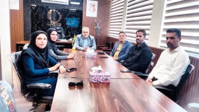 نرگس افتخار، رئیس جدید شورای اسلامی شهر داریون شد